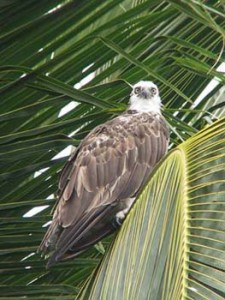 Belize
