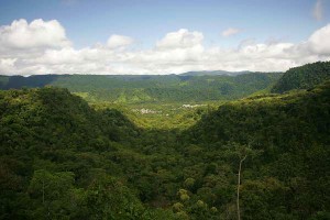 ecu2-040LJ4H6774