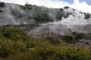 NZ005-LJ4H1272