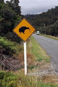 NZ047-SD-00080-001