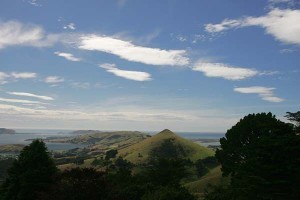 NZ070-LJ4H5737