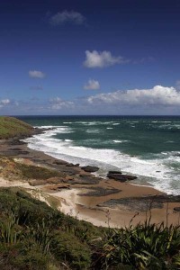 NZ082-LJ4H8143