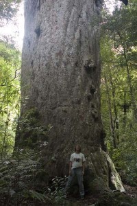 NZ088-lj4h81111820070401